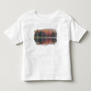 USA, Vermont, McAllister Lake, near Hazens Notch Toddler T-shirt