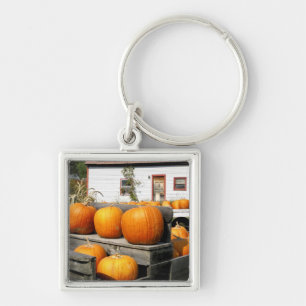 USA, Vermont. Pumpkins Keychain