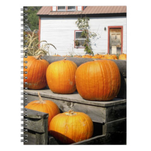 USA, Vermont. Pumpkins Notebook