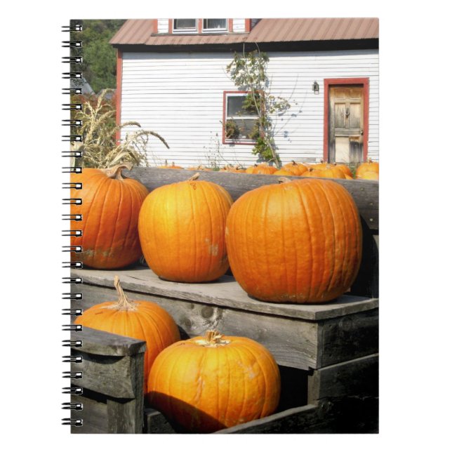 USA, Vermont. Pumpkins Notebook (Front)