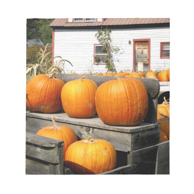 USA, Vermont. Pumpkins Notepad (Front)