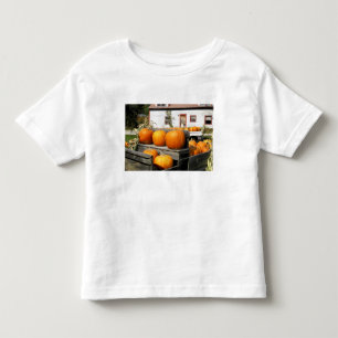 USA, Vermont. Pumpkins Toddler T-shirt