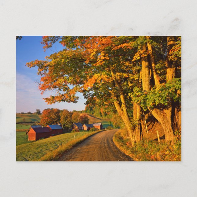 USA, Vermont, South Woodstock Postcard (Front)