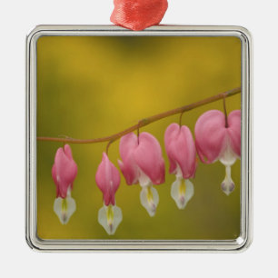 USA, Virginia, Arlington, closeup of pink Metal Ornament