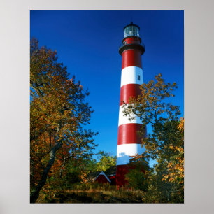 USA, Virginia, Assateague Island, Chincoteague Poster