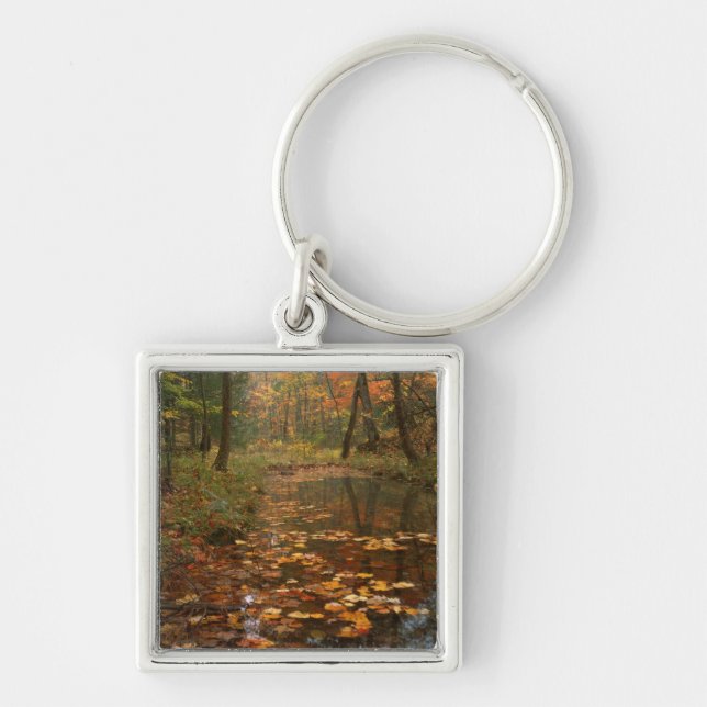 USA, Virginia, Autumn In Douthat State Park Keychain (Front)