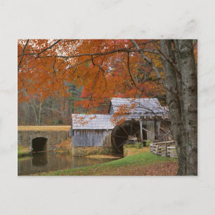 USA, Virginia, Blue Ridge Parkway, Autumn Postcard