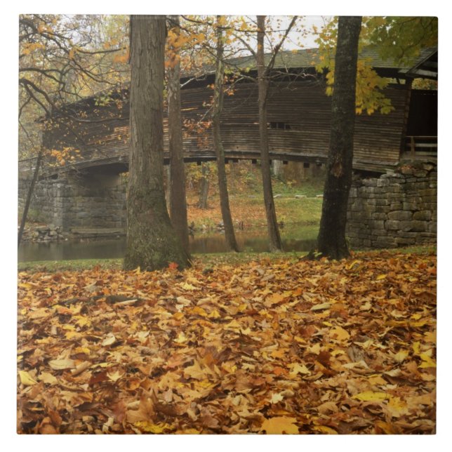 USA, Virginia, Covington, Humpback Covered Tile (Front)