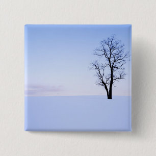 USA, Virginia, Page County, Black Locust 2 Inch Square Button