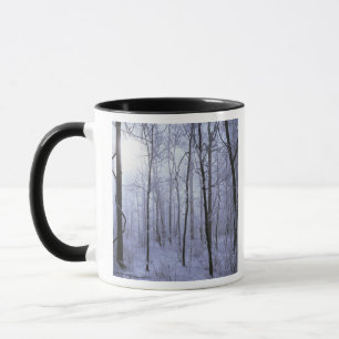 USA, Virginia, Richard Thompson Wildlife Area. Mug