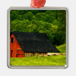 USA, Virginia, Shenandoah National Park, 2 Metal Ornament
