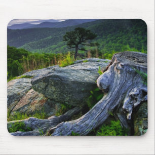 USA, Virginia, Shenandoah National Park. Mouse Pad