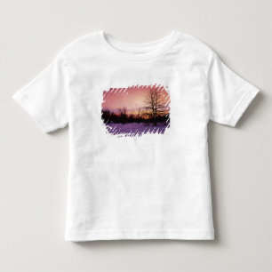 USA, Virginia, Shenandoah National Park, Toddler T-shirt