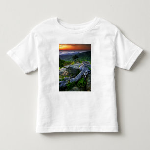 USA, Virginia, Shenandoah National Park. Toddler T-shirt