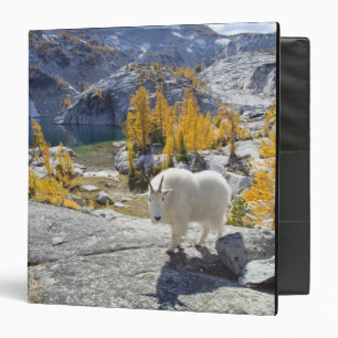 USA, WA, Alpine Lakes WIlderness Enchantments. Binder