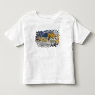 USA, WA, Alpine Lakes WIlderness Enchantments. Toddler T-shirt