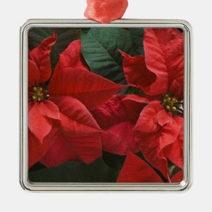 USA, WA, Red Poinsettia Detail (Euphorbia Metal Ornament