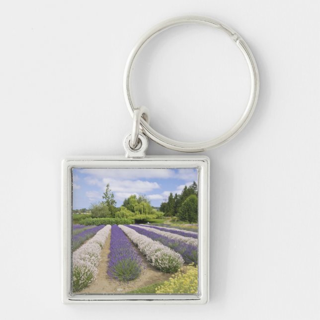 USA, WA, Sequim, Purple Haze Lavender Farm Keychain (Front)