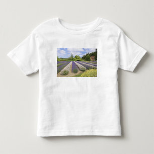 USA, WA, Sequim, Purple Haze Lavender Farm Toddler T-shirt