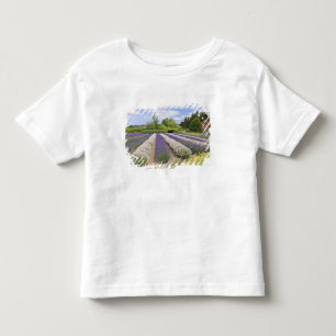 USA, WA, Sequim, Purple Haze Lavender Farm Toddler T-shirt