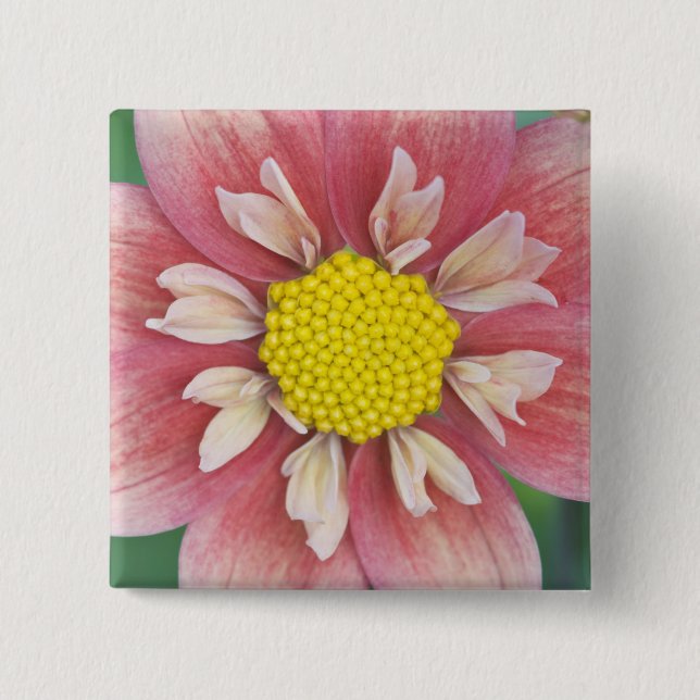 USA, Washington, Bellevue, Bellevue Botanical 2 Inch Square Button (Front)