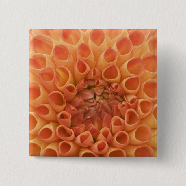 USA, Washington, Bellevue, Bellevue Botanical 3 2 Inch Square Button (Front)