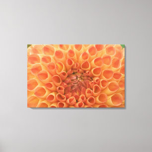 USA, Washington, Bellevue, Bellevue Botanical 3 Canvas Print