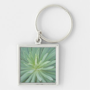 USA, Washington, Bellevue, Bellevue Botanical 4 Keychain