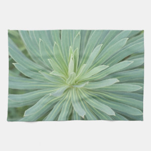 USA, Washington, Bellevue, Bellevue Botanical 4 Kitchen Towel
