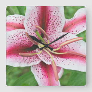 USA, Washington, Bellevue, Lily Square Wall Clock
