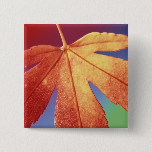 USA, Washington, Bellingham. Credit as: Steve 2 Inch Square Button (Front)