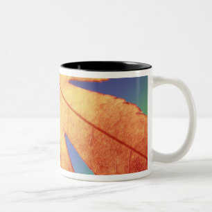 USA, Washington, Bellingham. Credit as: Steve Two-Tone Coffee Mug