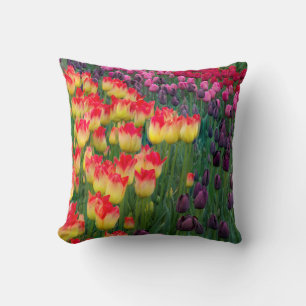 USA, Washington. Blooming Tulips 2 Throw Pillow