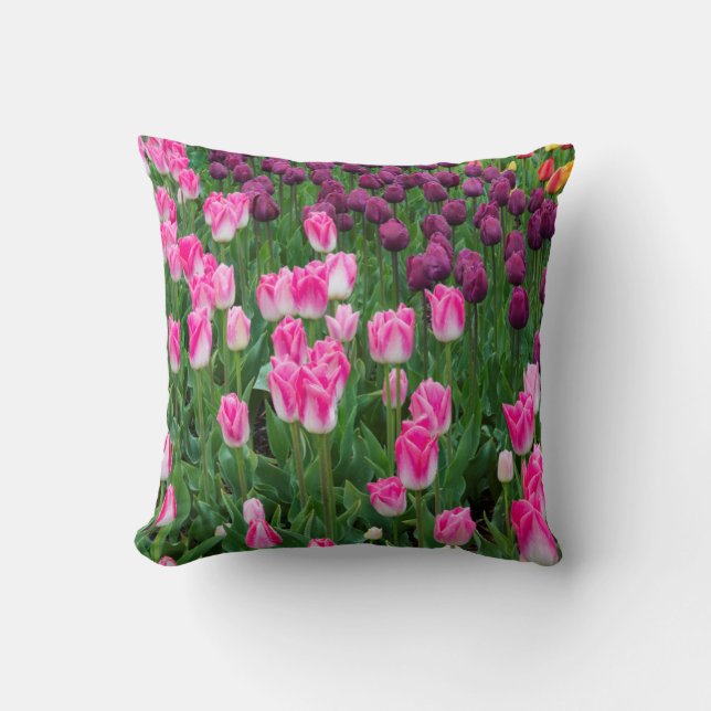 USA, Washington. Blooming Tulips Throw Pillow (Front)