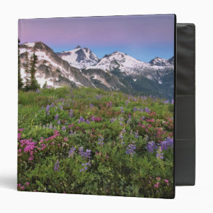 USA, Washington, Cascade Mountains, North Binder