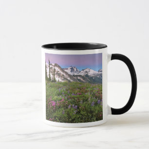 USA, Washington, Cascade Mountains, North Mug