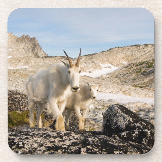 USA, Washington, Cascade Range 2 Coaster (Front)