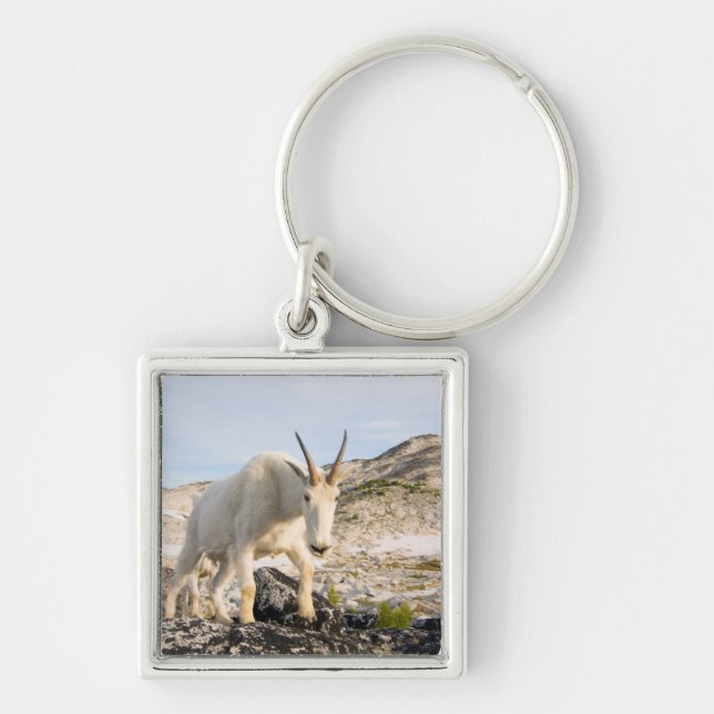 USA, Washington, Cascade Range 3 Keychain (Front)