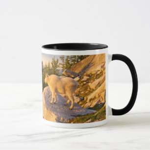 USA, Washington, Cascade Range 4 Mug