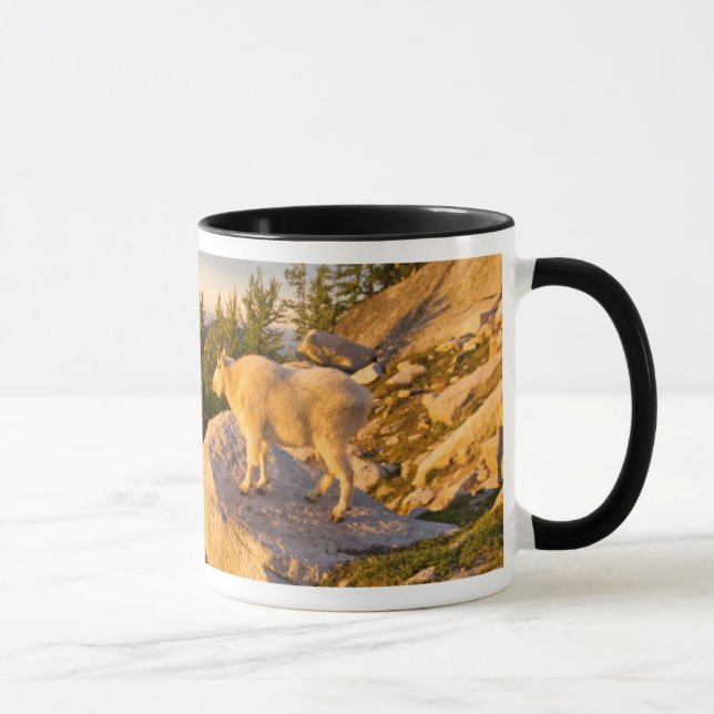 USA, Washington, Cascade Range 4 Mug (Right)