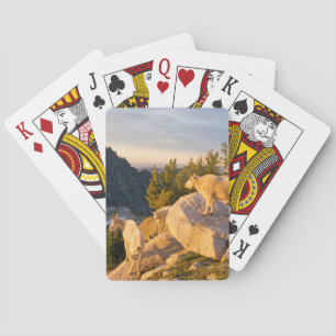 USA, Washington, Cascade Range 4 Playing Cards