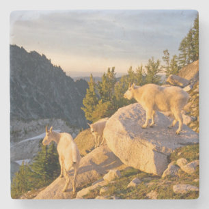 USA, Washington, Cascade Range 4 Stone Coaster