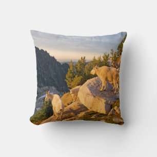 USA, Washington, Cascade Range 4 Throw Pillow