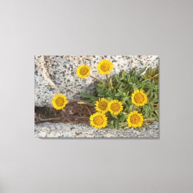 USA, Washington, Cascade Range 5 Canvas Print (Front)