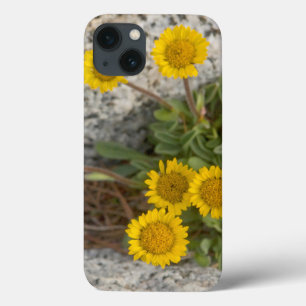 USA, Washington, Cascade Range 5 iPhone 13 Case