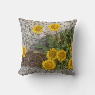 USA, Washington, Cascade Range 5 Throw Pillow