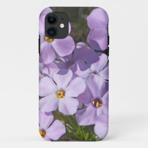 USA, Washington, Cascade Range 6 iPhone 11 Case