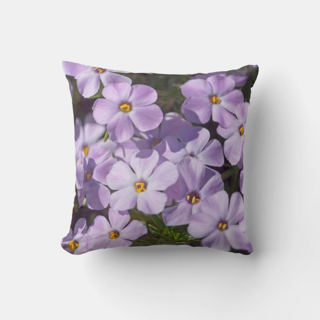 USA, Washington, Cascade Range 6 Throw Pillow (Front)