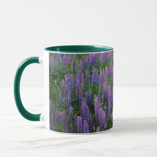 USA, Washington, Clallam County, Lupine Mug (Left)