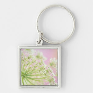USA, Washington, Close-up of cow parsnip Keychain